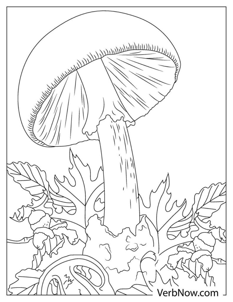 whimsical mushroom coloring pages printable jpg