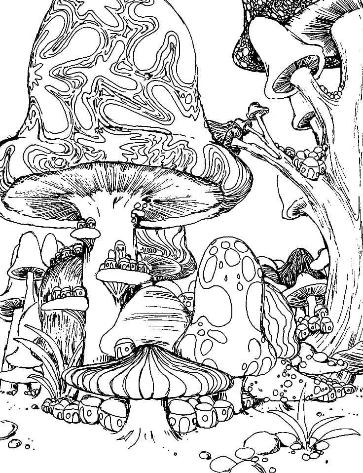 36 Whimsical Mushroom Coloring Pages Printable 32