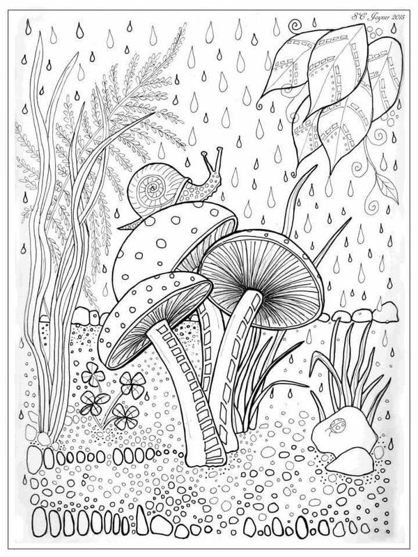 36 Whimsical Mushroom Coloring Pages Printable 6