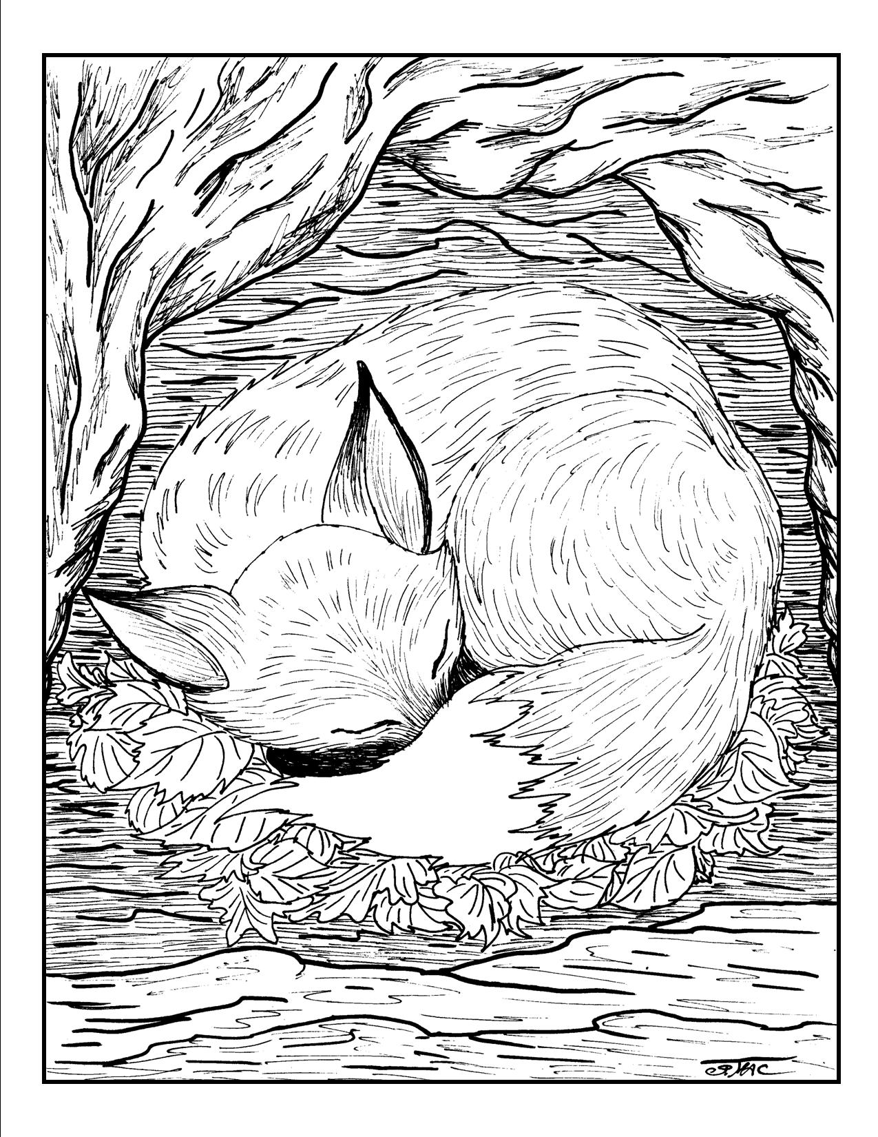 fox cute coloring pages printable jpg