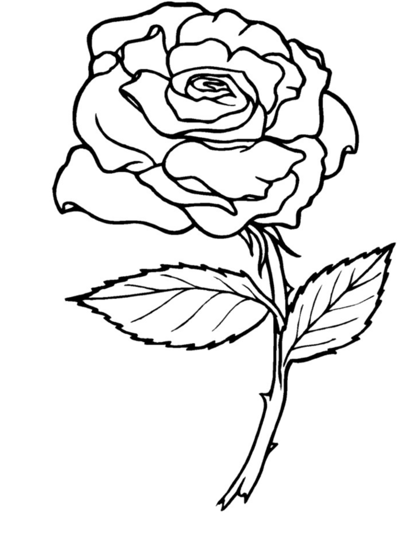 37 Jack and Rose Coloring Pages Printable 16