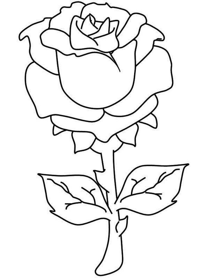 103+ Charming Detailed Rose Coloring Pages Printable