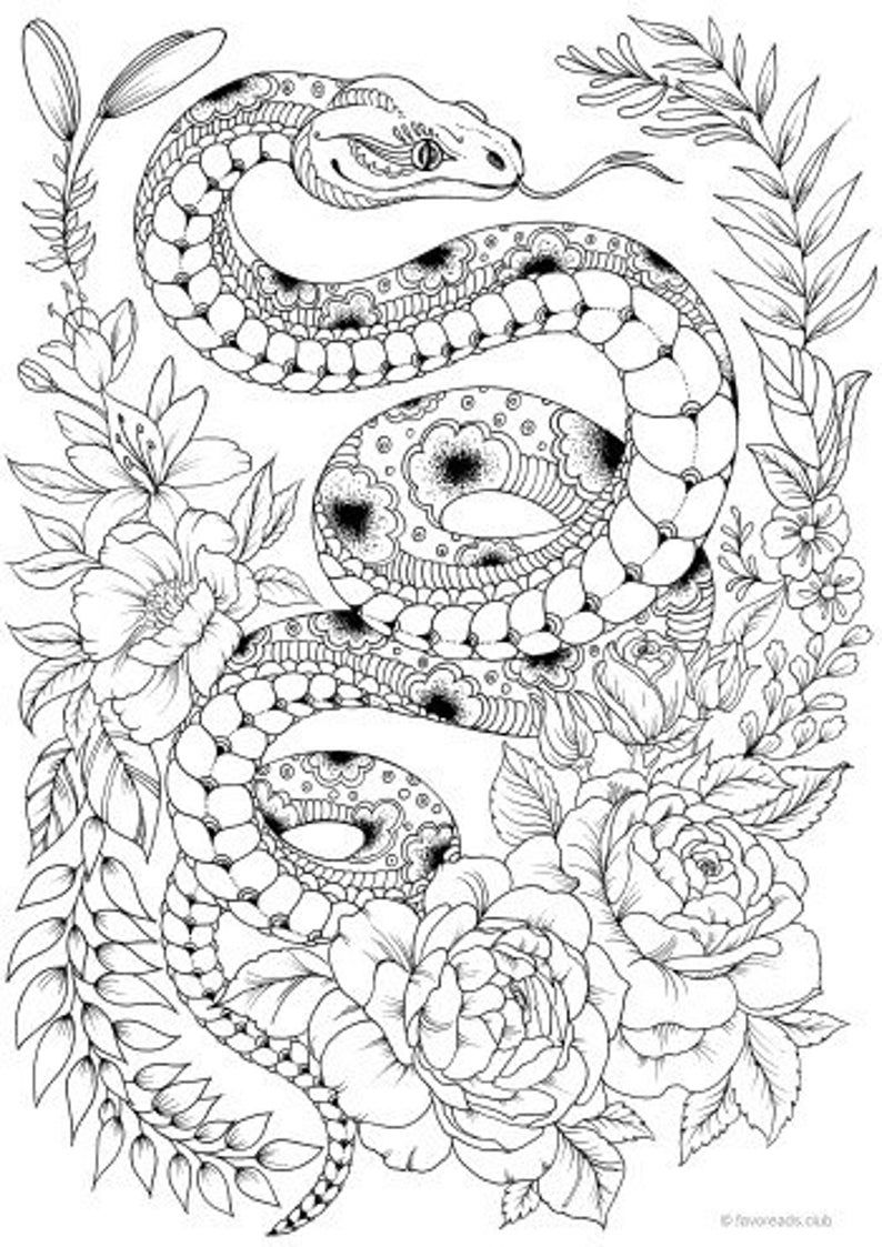 84+ Fun Detailed Pattern Coloring Pages Printable