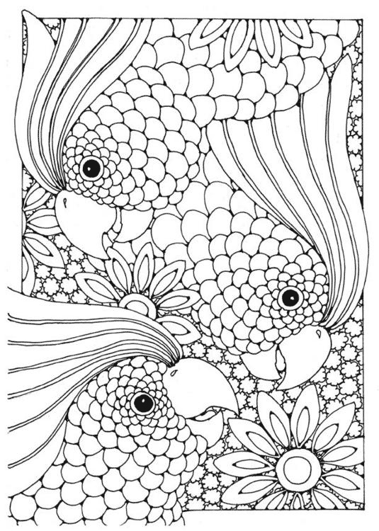 complex coloring pages abstract birds coloringfree com gif jpg