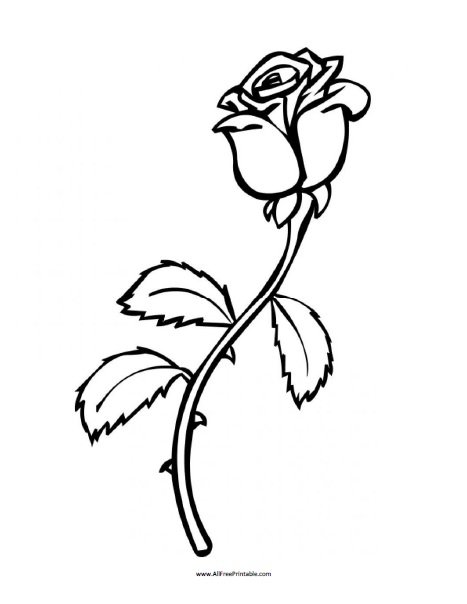 162+ Imaginative Detailed Rose Coloring Pages Printable