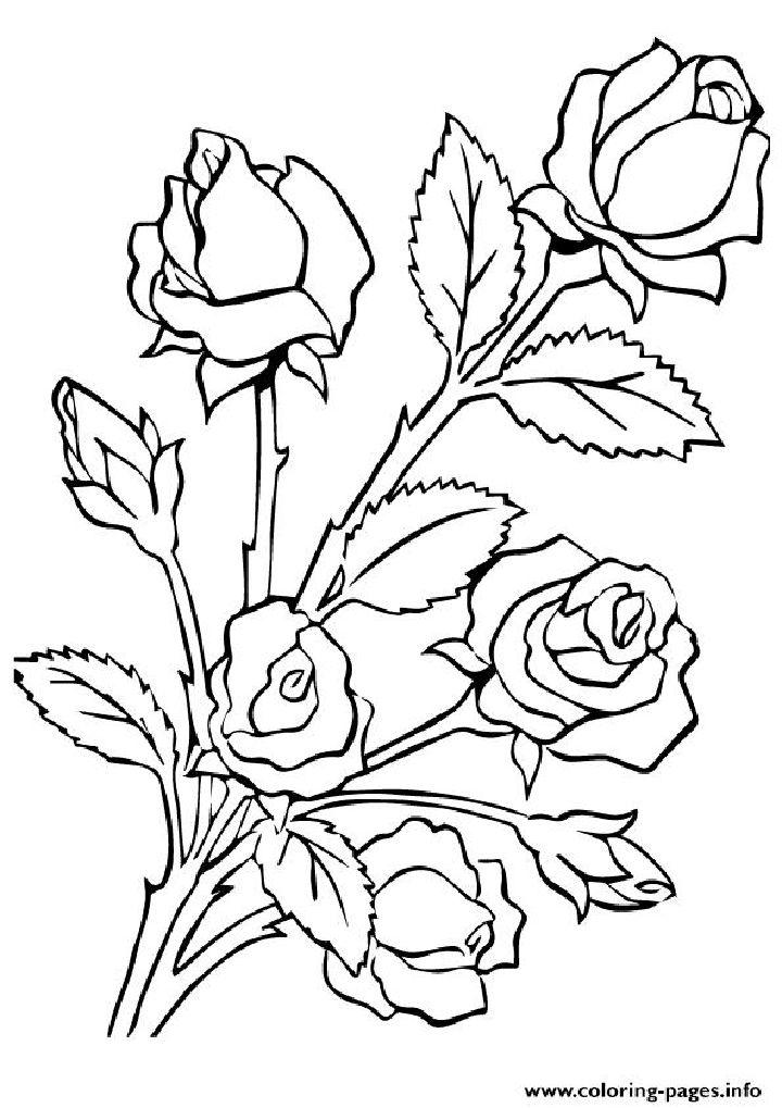 free rose coloring sheets jpg jpg