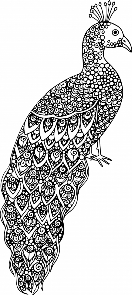 193+ Vibrant Fun Hard Coloring Pages Printable