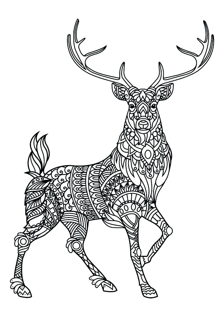 32+ Enchanting Fun Hard Coloring Pages Printable