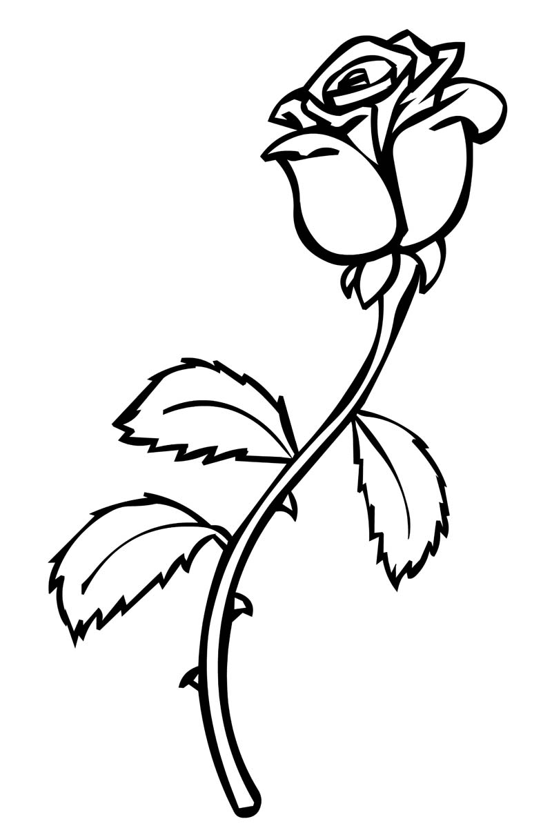 74+ Spectacular Detailed Rose Coloring Pages Printable