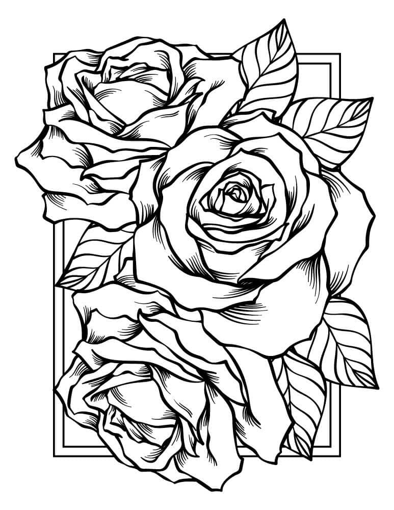 147+ Festive Detailed Rose Coloring Pages Printable