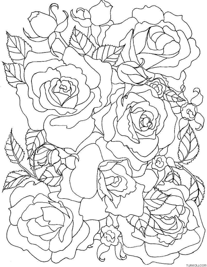 48+ Joyous Detailed Rose Coloring Pages Printable