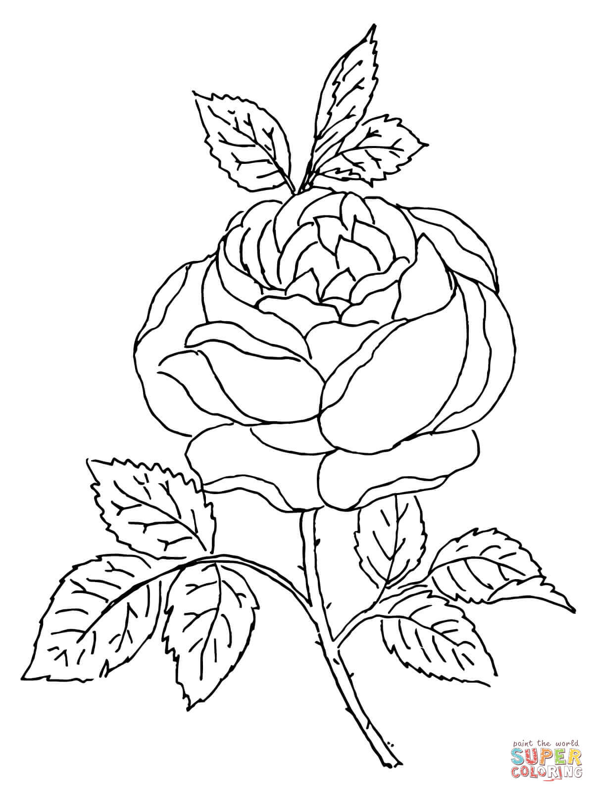 145+ Brightening Detailed Rose Coloring Pages Printable