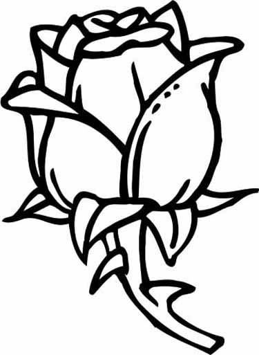 rose coloring pages jpg jpg