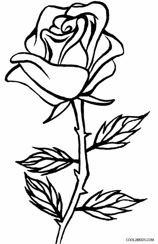 118+ Unique Detailed Rose Coloring Pages Printable