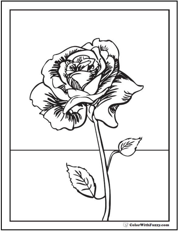 70+ Delightful Detailed Rose Coloring Pages Printable