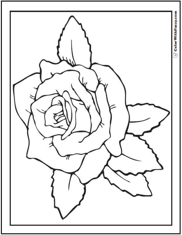 rose coloring png jpg