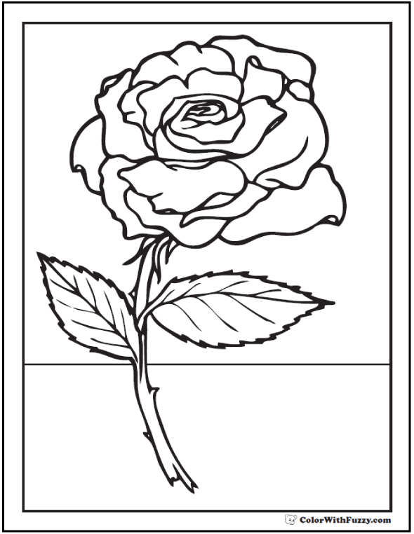 rose coloring sheet for kids png jpg