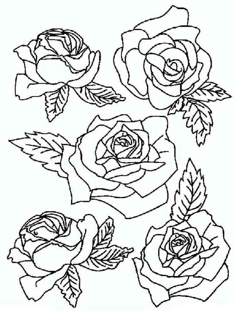 56+ Dazzling Detailed Rose Coloring Pages Printable