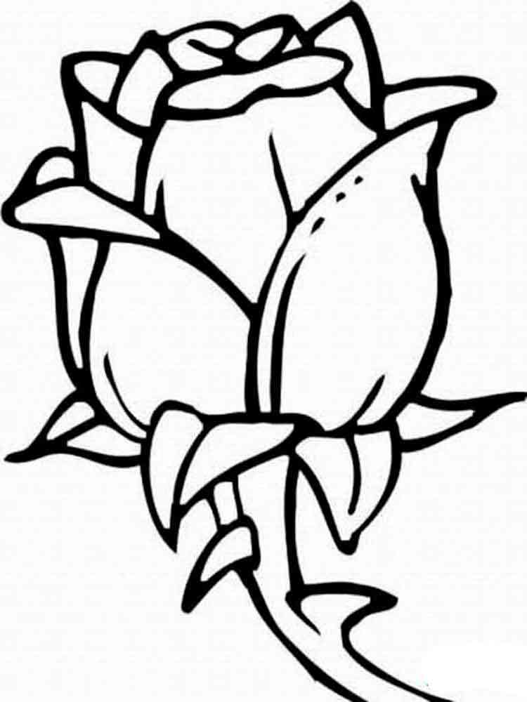 rose flower coloring pages jpg jpg