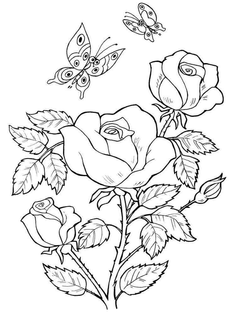 42+ Captivating Detailed Rose Coloring Pages Printable