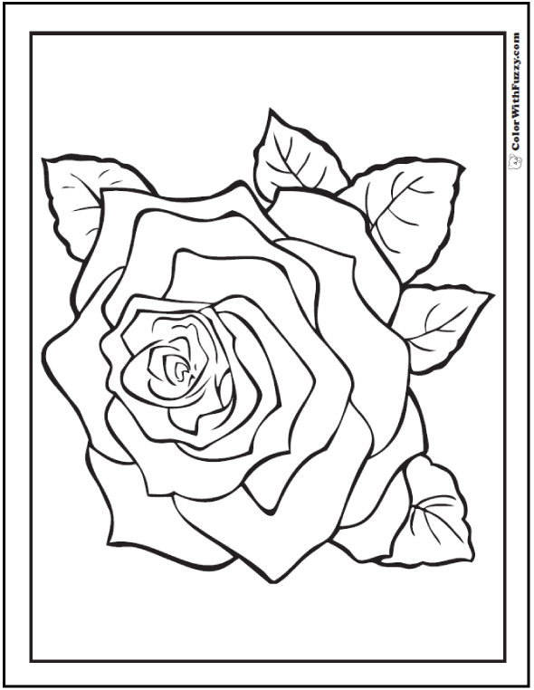 rose flower coloring pages png jpg