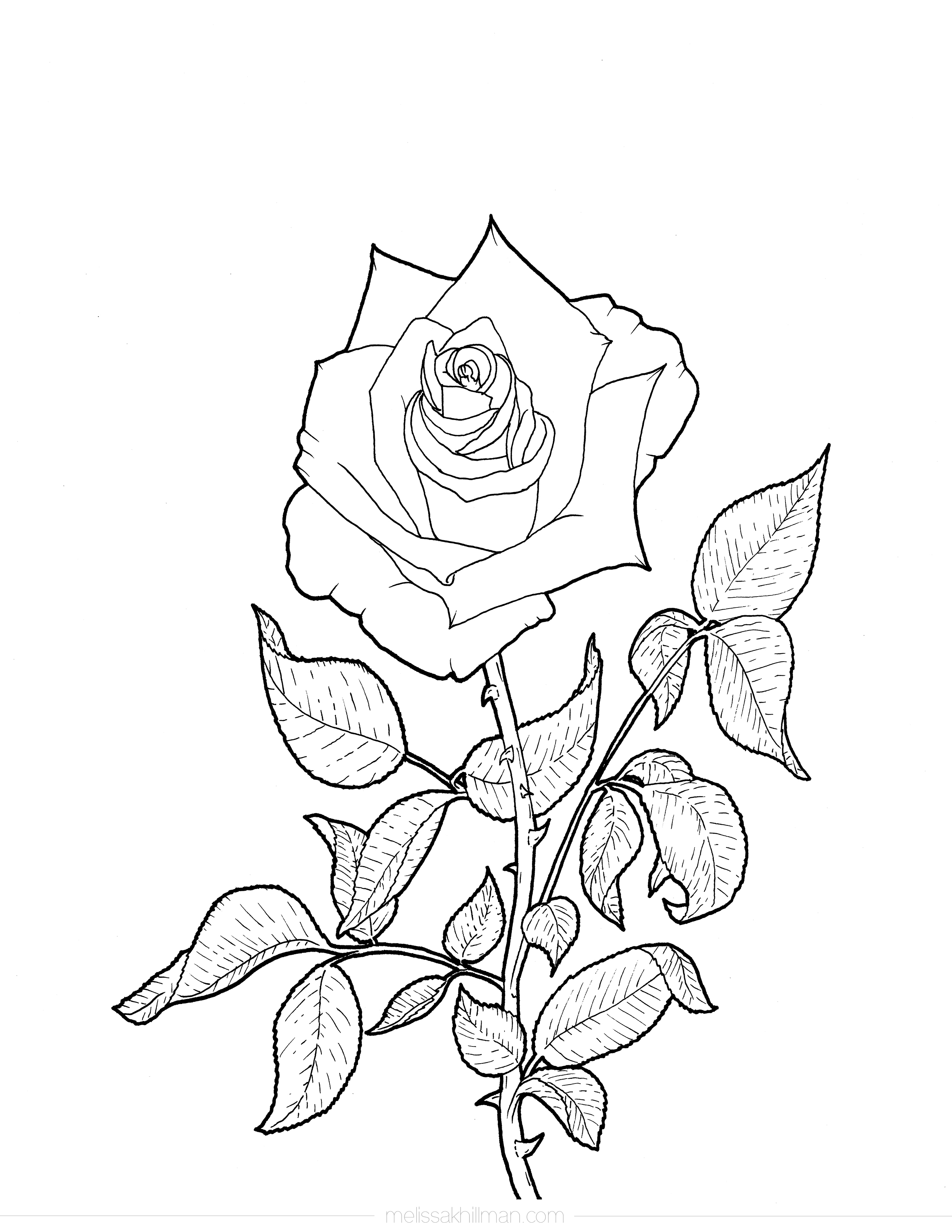 193+ Bright Detailed Rose Coloring Pages Printable