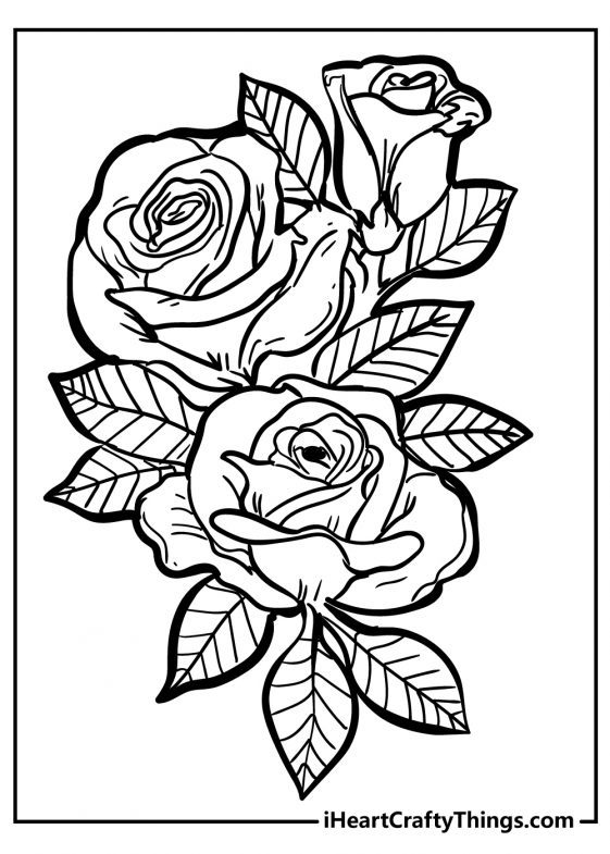 163+ Captivating Detailed Rose Coloring Pages Printable