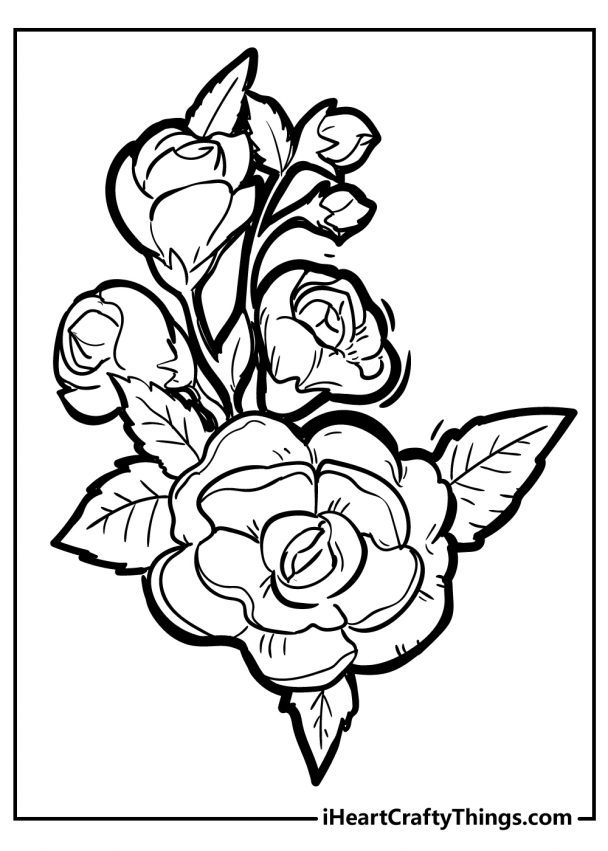 187+ Colorful Detailed Rose Coloring Pages Printable