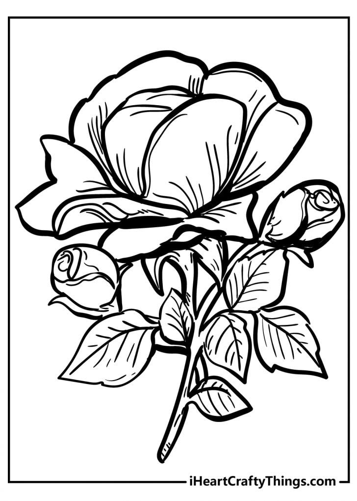 114+ Creative Detailed Rose Coloring Pages Printable