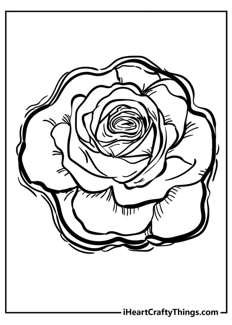 165+ Inspiring Detailed Rose Coloring Pages Printable