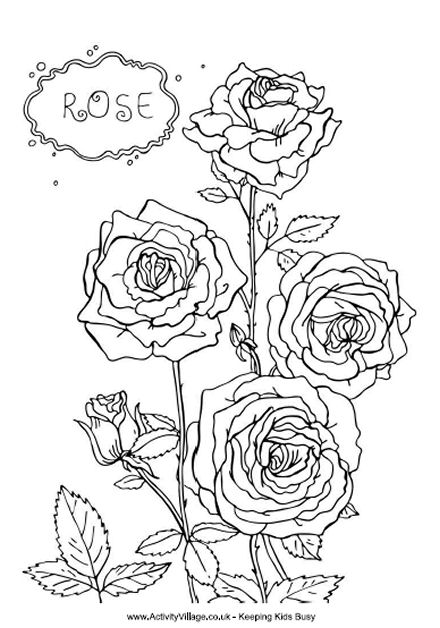 125+ Imaginative Detailed Rose Coloring Pages Printable