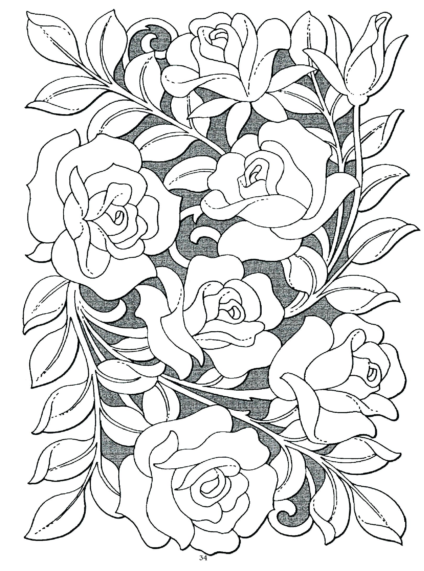 100+ Colorful Detailed Rose Coloring Pages Printable