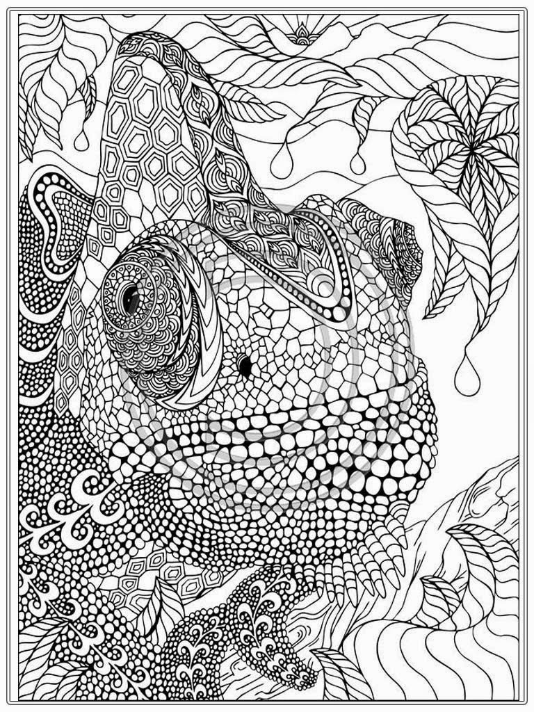 very detailed coloring pages jpg jpg