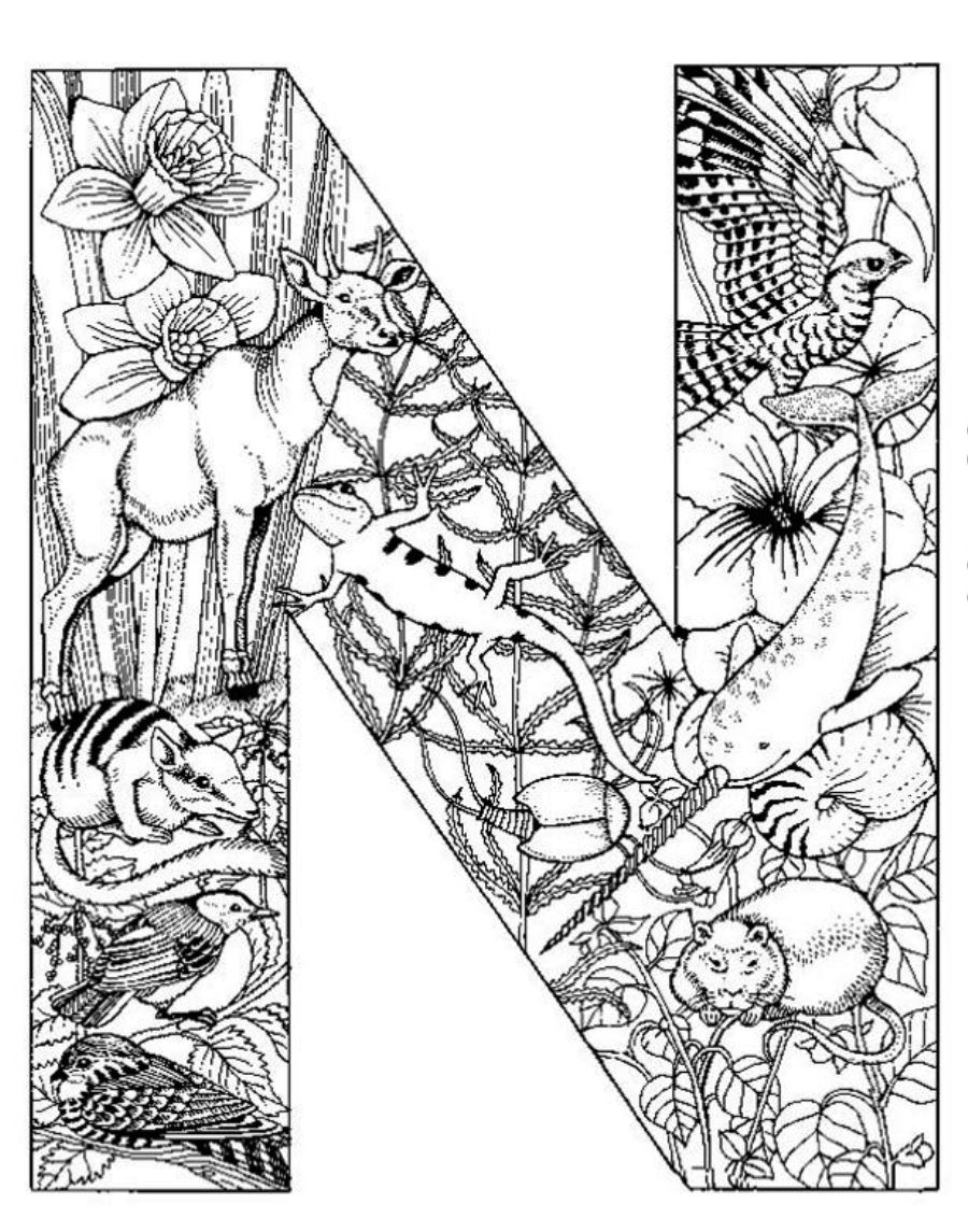 129+ Brightening Highly Detailed Coloring Pages Printable