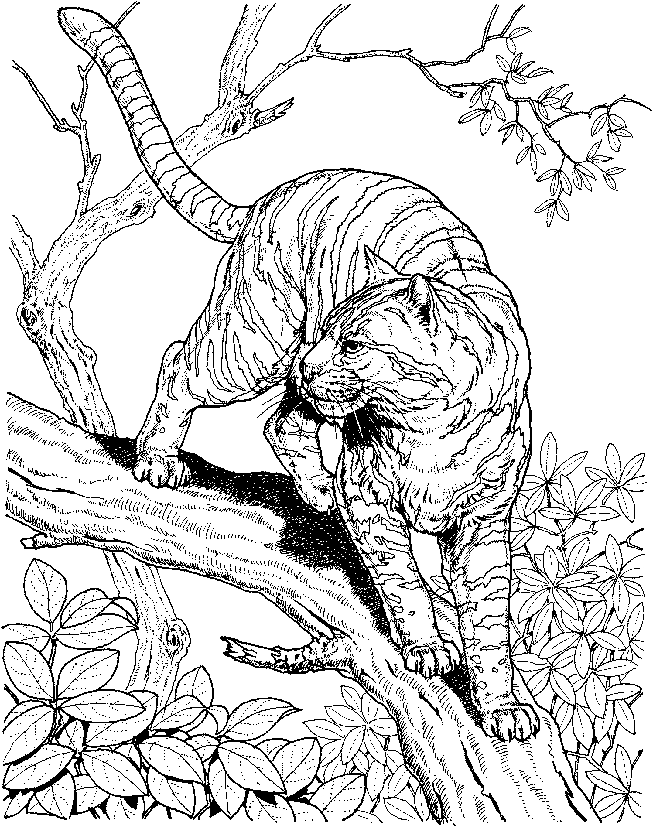 106+ Artistic Highly Detailed Coloring Pages Printable