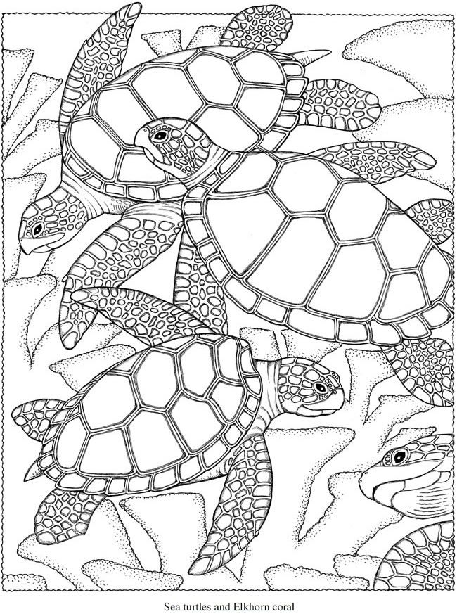 115+ Playful Highly Detailed Coloring Pages Printable