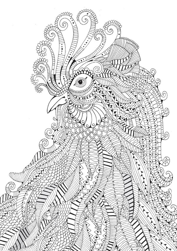 19+ Educational Free Hard Coloring Pages Printable