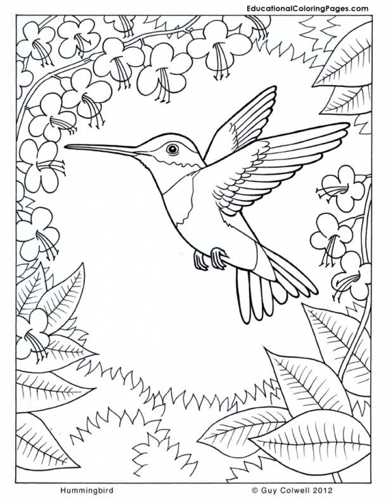 19+ Free Challenging Coloring Pages Printable