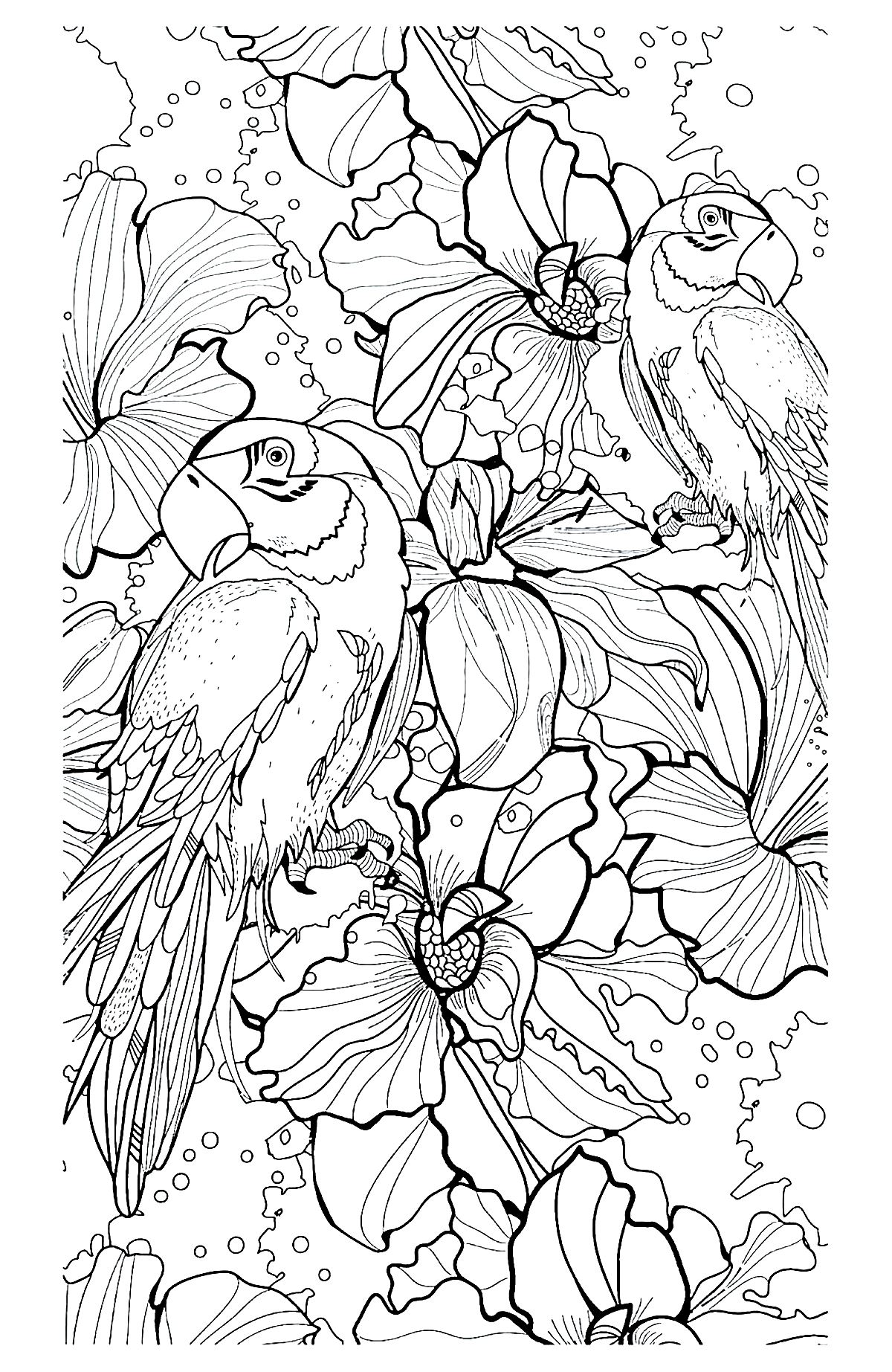 24+ Realistic Difficult Coloring Pages Printable