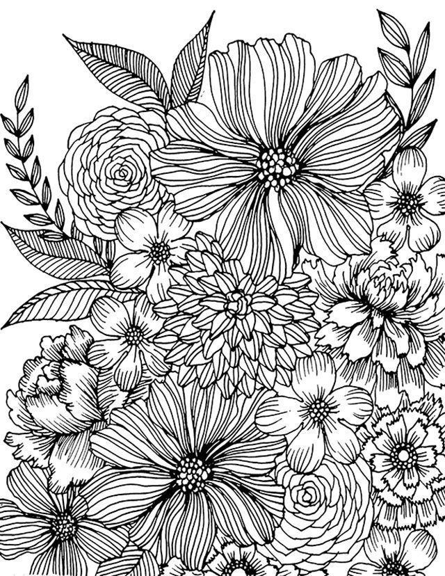 40+ Educational Free Advanced Adult Coloring Pages Inspirational