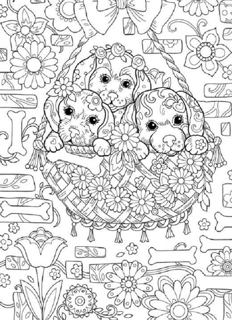 44+ Engaging Detailed Coloring Pages of Animals Printable Sheets