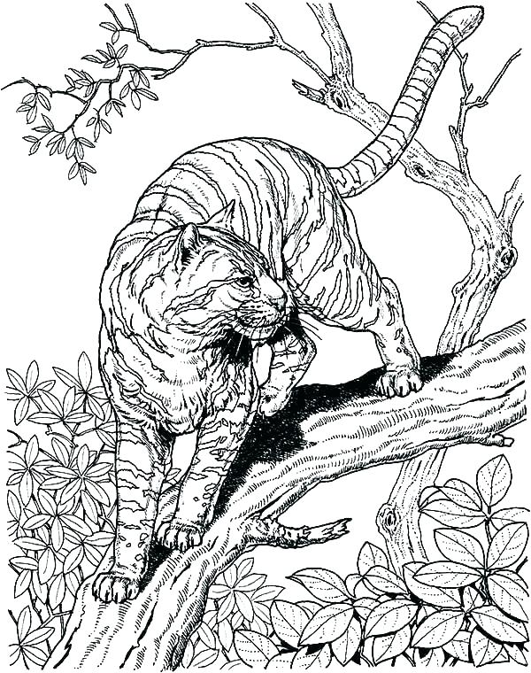 top free hard coloring pages printable jpg