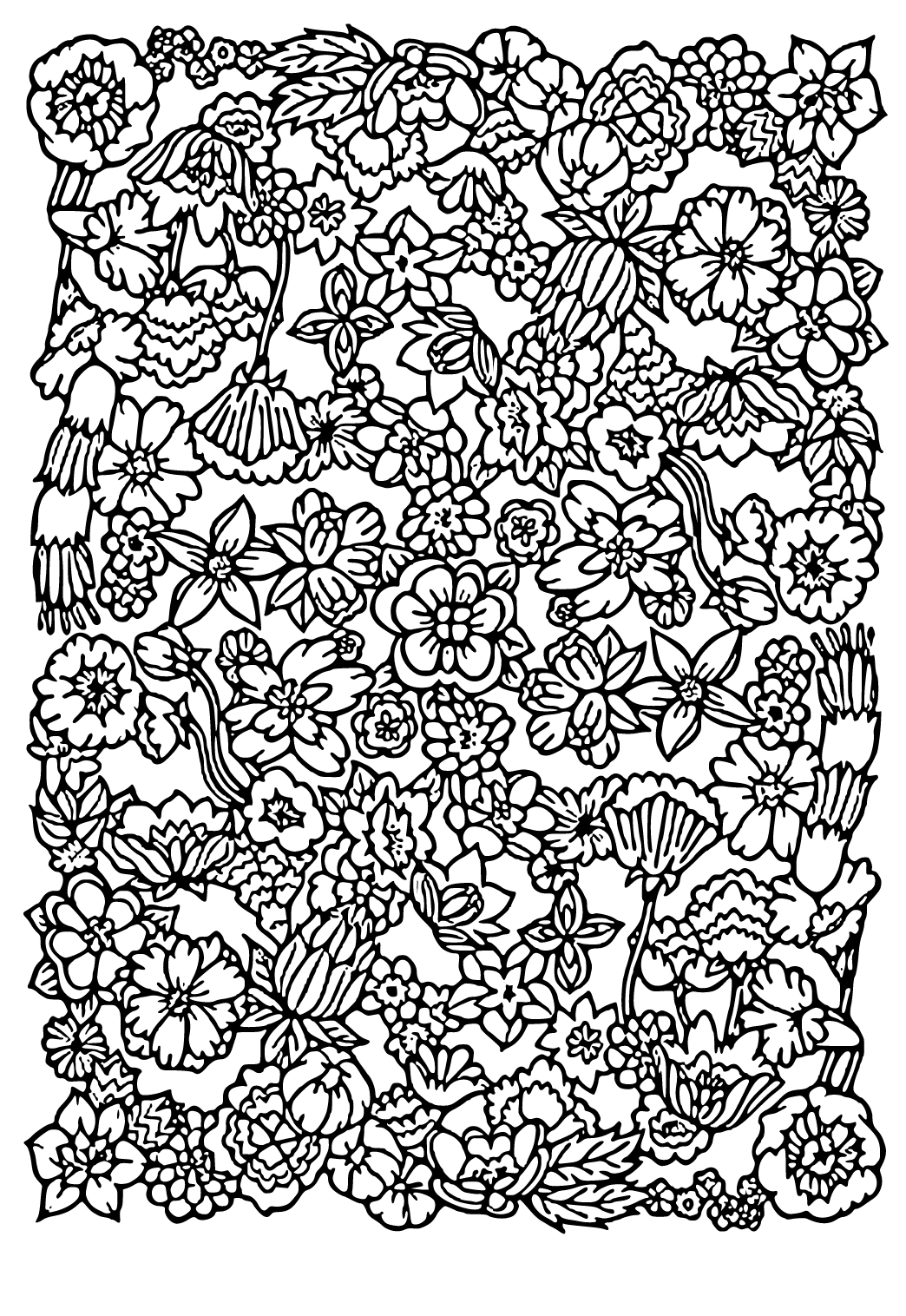 36+ Colorful Free Advanced Adult Coloring Pages Detailed