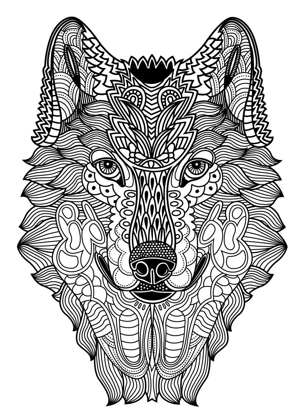 41+ Educational Detailed Coloring Pages of Animals Aesthetic