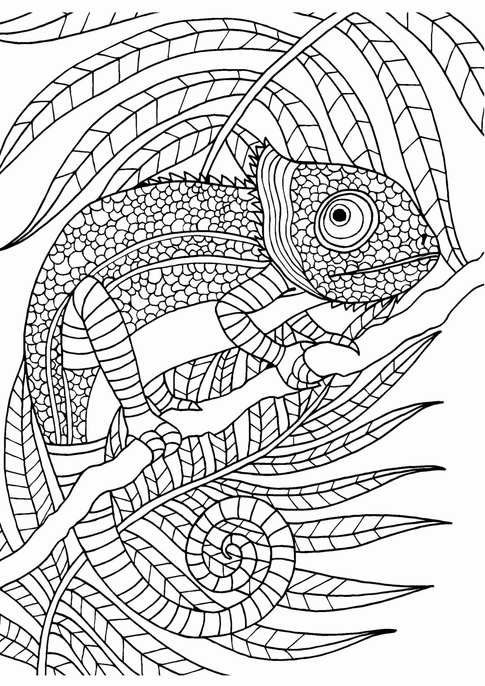 35+ Amazing Free Advanced Adult Coloring Pages Detailed