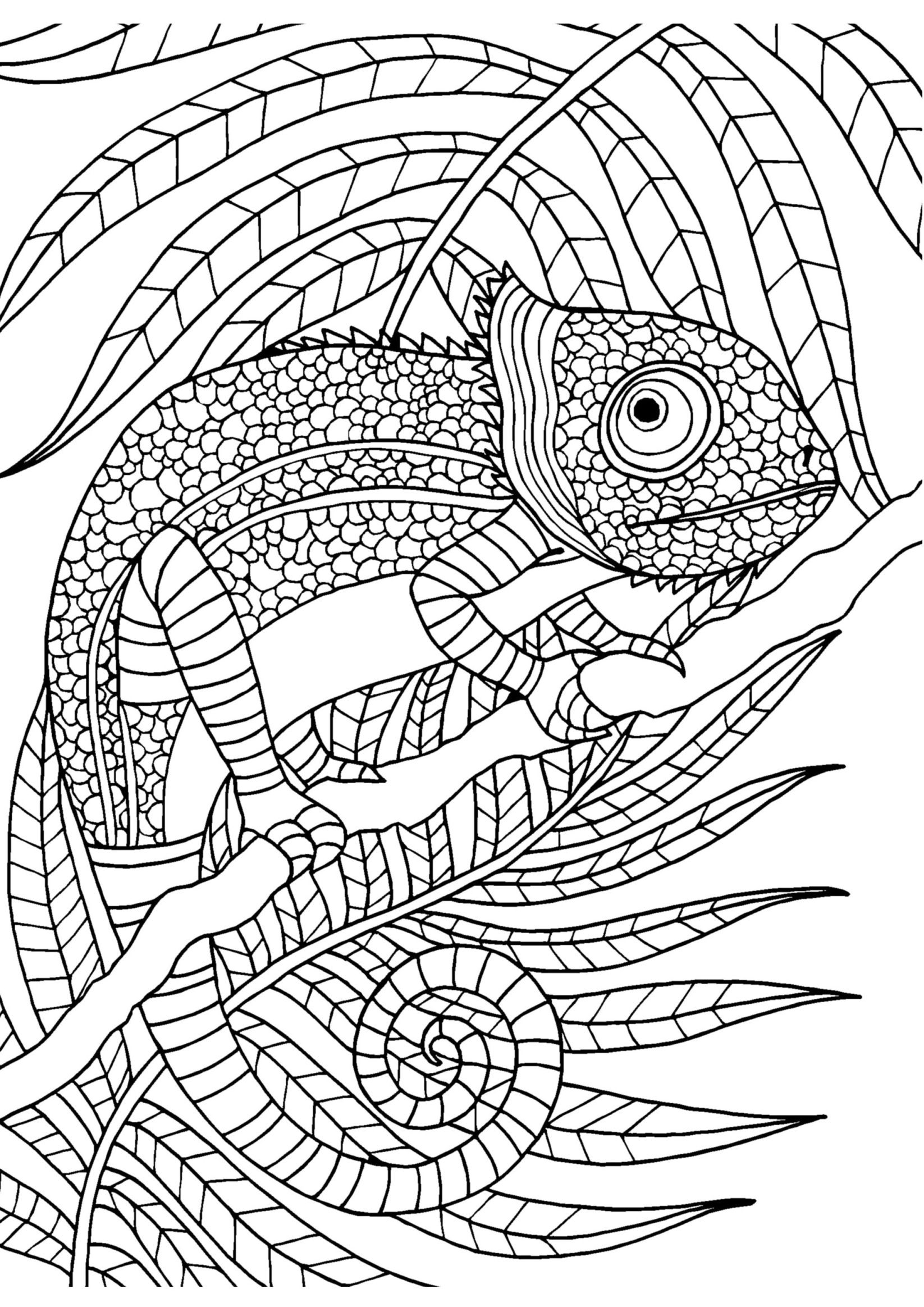 86+ Happy Adult Art Coloring Pages Printable