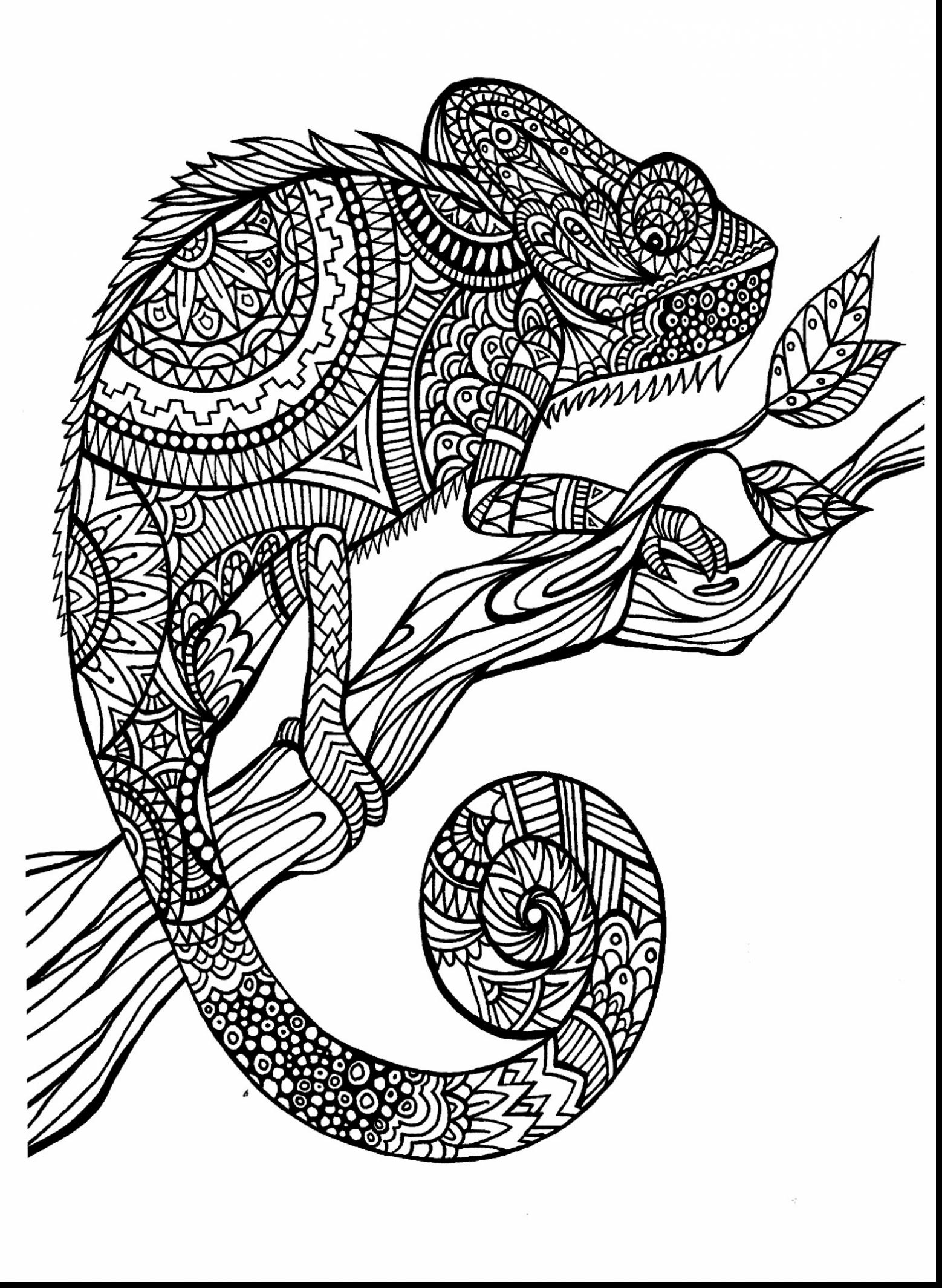 93+ Downloadable Free Hard Coloring Pages Printable