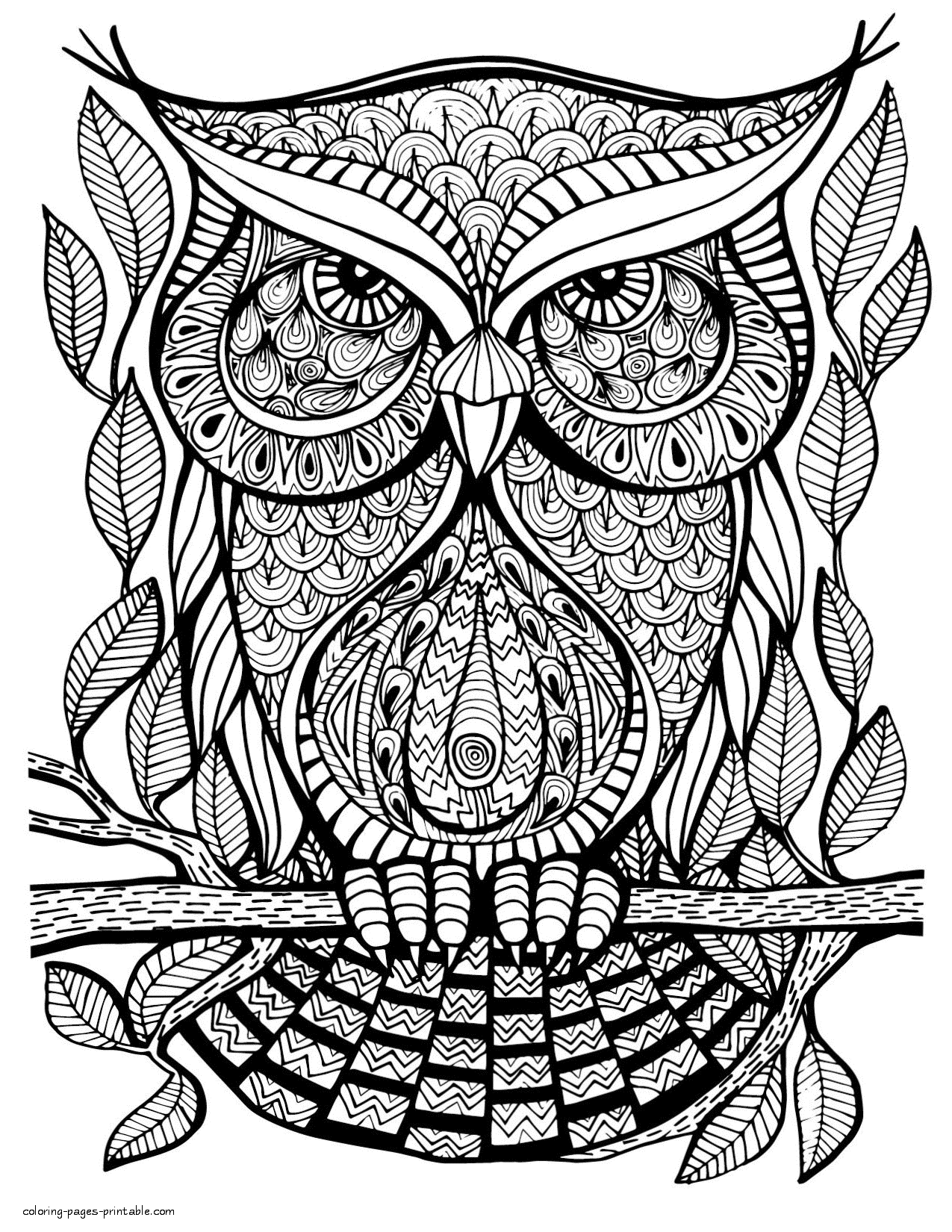 entertaining coloring pages for adults printable jpg