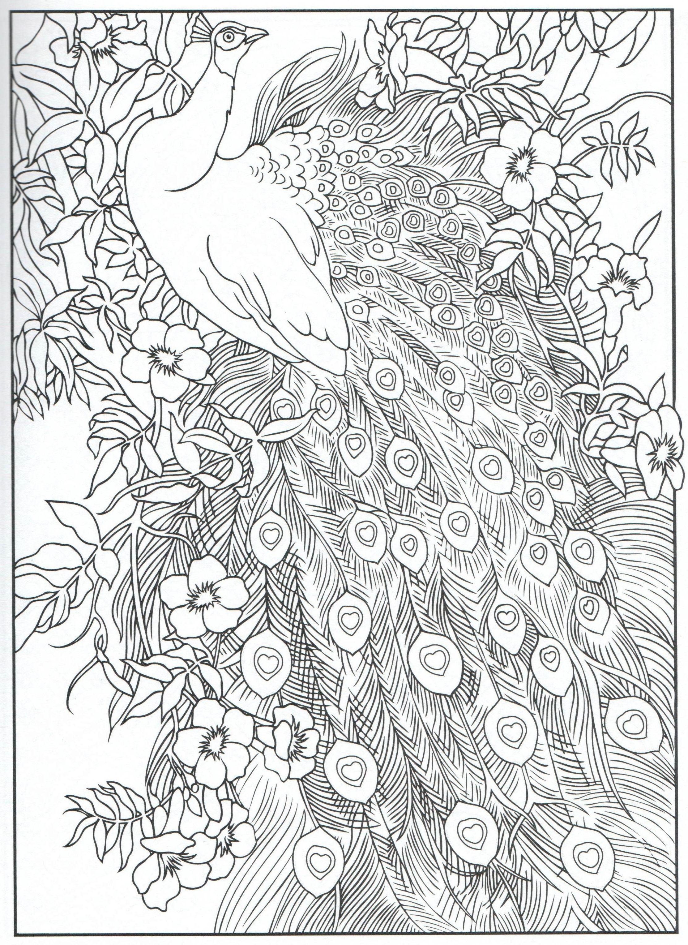 32+ The Best Free Advanced Adult Coloring Pages Download FREE