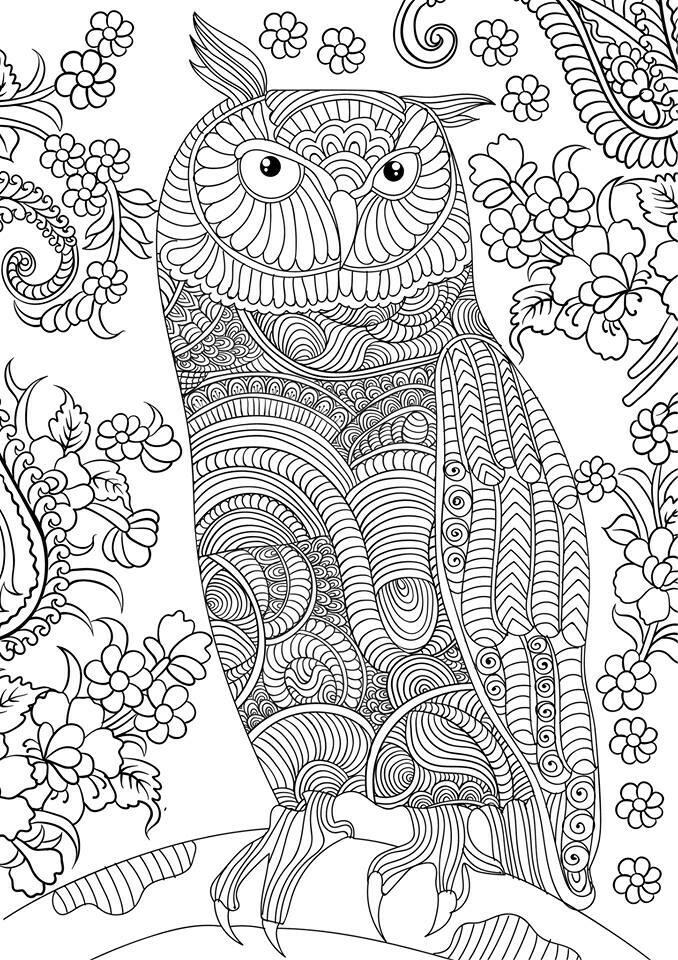 49+ Interactive Free Advanced Adult Coloring Pages Download FREE